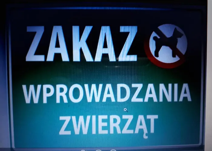 Przy Grodzkiej Hlohov,